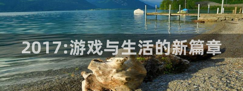im电竞官网解绑银行卡：2017:游戏与生活的新篇章