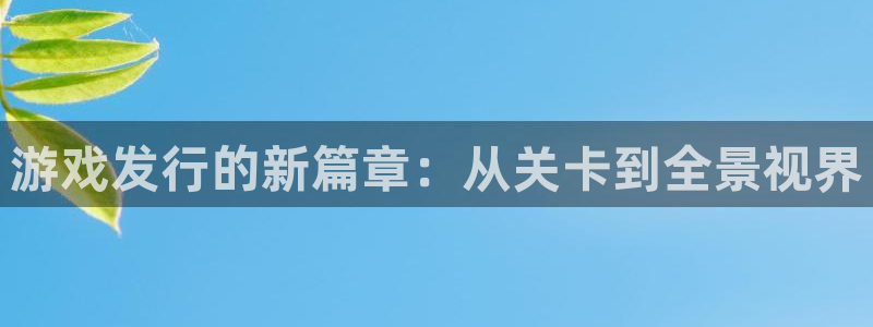 im电竞官网招商主管：游戏发行的新篇章：从关卡到全景视界