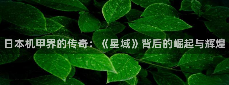im电竞官网：日本机甲界的传奇：《星域》背后的崛起与辉煌