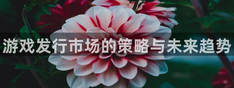 im电竞官网登录注册账号失败怎么回事：游戏发行市场的策略与未来趋势