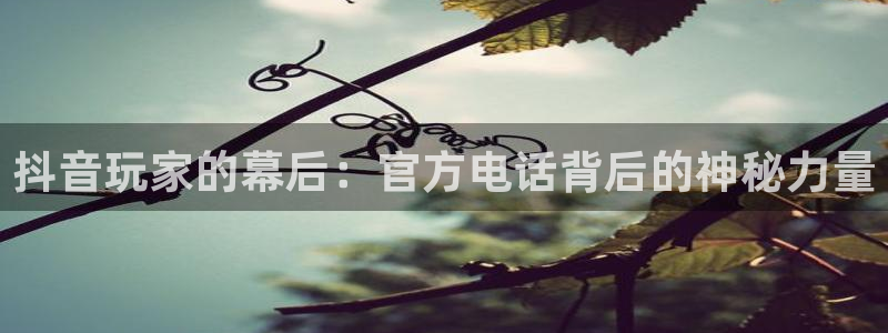 陕西im电竞子文化创意是干什么的：抖音玩家的幕后：官方电话背后的神秘力量