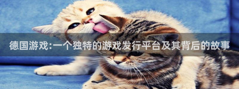 im电竞官网注册地址在哪里查：德国游戏:一个独特的游戏发行平台及其背后的故事
