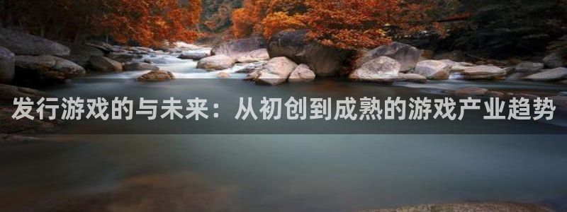 im电竞电商怎么样：发行游戏的与未来：从初创到成熟的游戏产业趋势