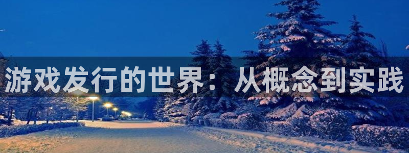 广州im电竞投资