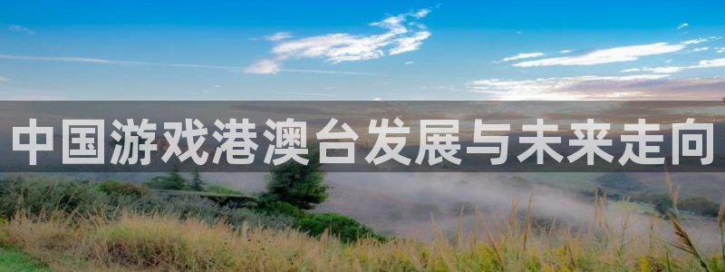im电竞官网客服