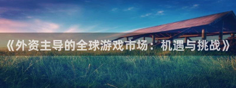 im电竞官网游戏平台介绍：《外资主导的全球游戏市场：机遇与挑战》