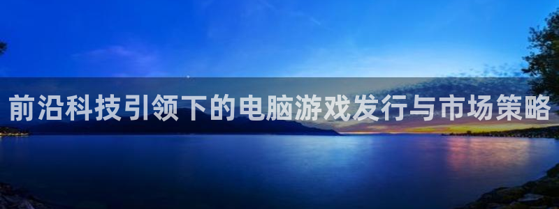 im电竞子文化创意有限公司：前沿科技引领下的电脑游戏发行与市场策略