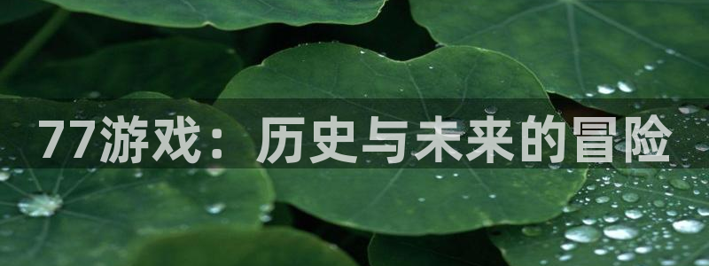 im电竞官网注册平台合法吗?：77游戏：历史与未来的冒险