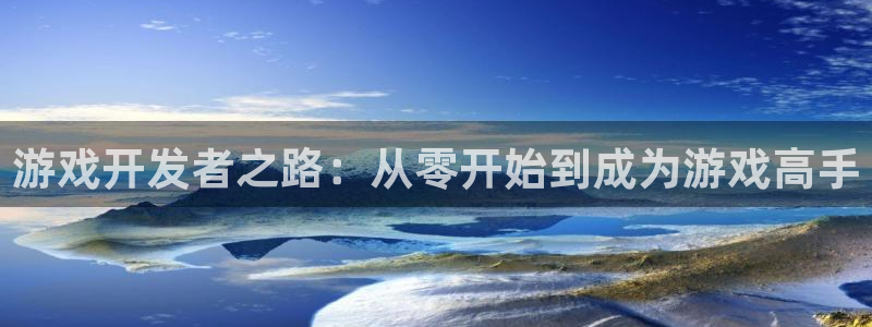 im电竞子公司怎么样可靠吗：游戏开发者之路：从零开始到成为游戏高手