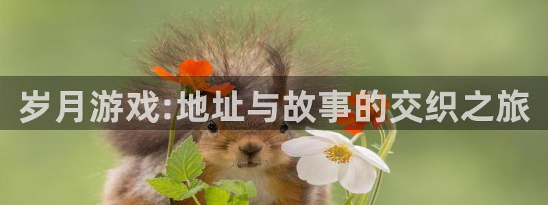 im电竞子市值：岁月游戏:地址与故事的交织之旅