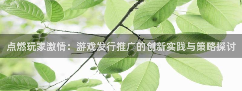 im电竞技术有限公司官网：点燃玩家激情：游戏发行推广的创新实践与策略探讨