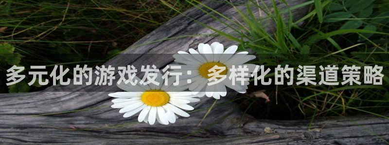 im电竞官网注册平台怎么样啊：多元化的游戏发行：多样化的渠道策略