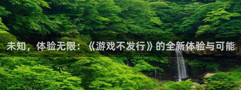 深圳im电竞电商：未知，体验无限：《游戏不发行》的全新体验与可能