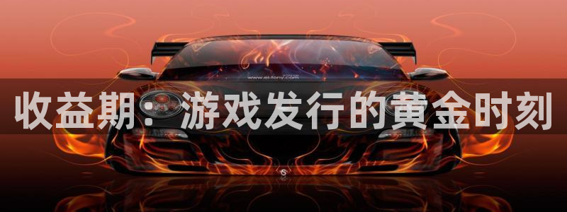 im电竞子公司怎么样：收益期：游戏发行的黄金时刻