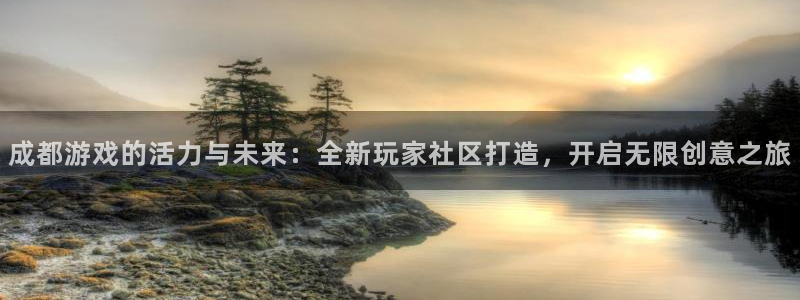 im电竞干红葡萄酒750毫升多少钱：成都游戏的活力与未来：全新玩家社区打造，开启无限创意之旅