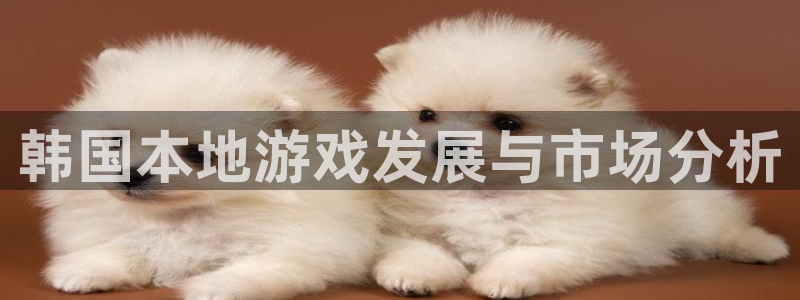 im电竞官网注册登录官网：韩国本地游戏发展与市场分析