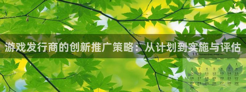 im电竞官网客服招聘：游戏发行商的创新推广策略：从计划到实施与评估