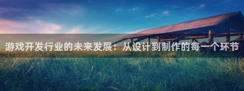 im电竞集团董事长刘一辰简历：游戏开发行业的未来发展：从设计到制作的每一个环节