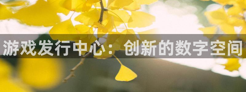 im电竞服装分店有几家