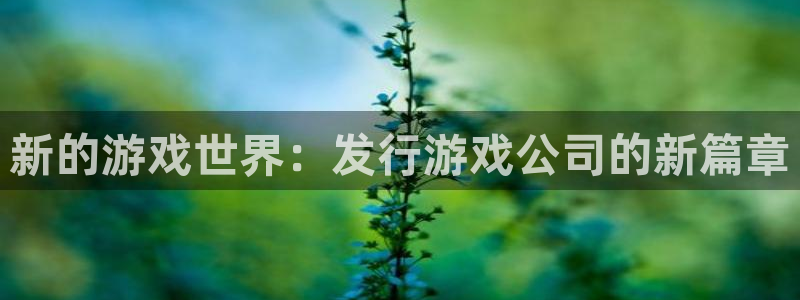 im电竞子财经丛书有哪些：新的游戏世界：发行游戏公司的新篇章
