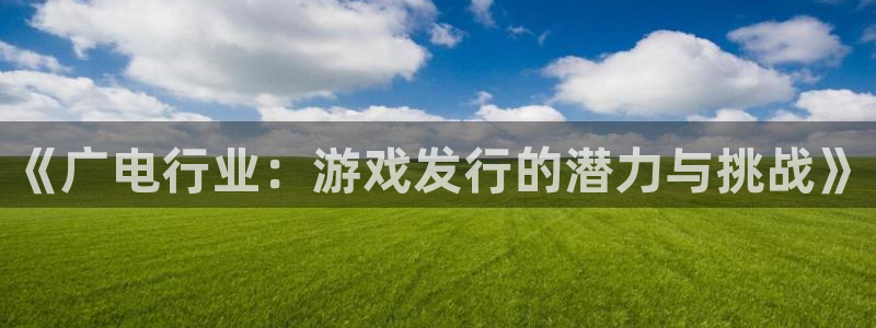 im电竞多少钱：《广电行业：游戏发行的潜力与挑战》